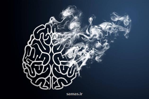 شناسایی یک عامل احتمالی زوال عقل