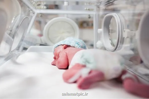 راه اندازی مرکز حفظ باروری در پژوهشگاه رویان